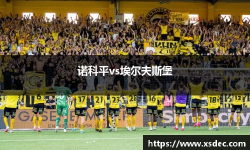 诺科平vs埃尔夫斯堡