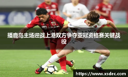 平博pinnacle下载